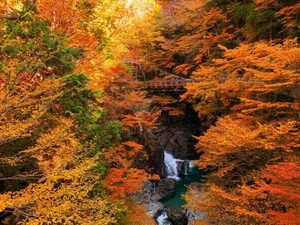 秋のみたらい渓谷